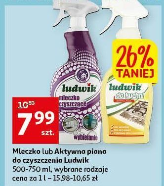 Auchan Mleczko do czyszczenia kuchni ludwik oferta