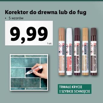 Korektor do fug parkside