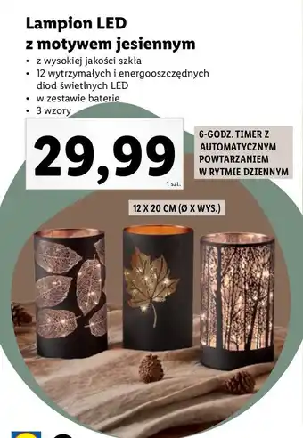 Lidl Lampion led z motywem jesiennym 12 x 20 cm oferta