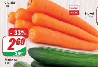 Dino Marchewka oferta