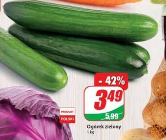 Dino Ogórek zielony oferta