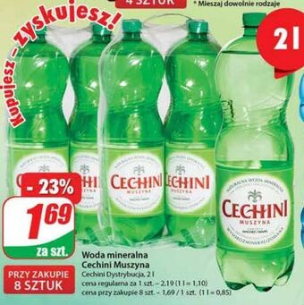 Dino Woda wysokozmineralizowana muszyna cechini oferta