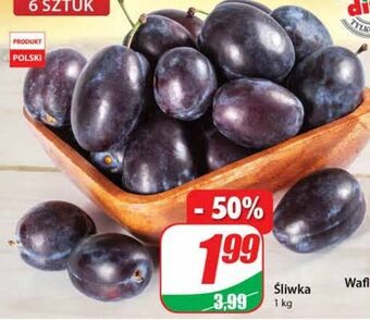 Dino Śliwki oferta