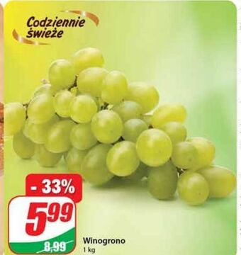 Dino Winogrona jasne oferta