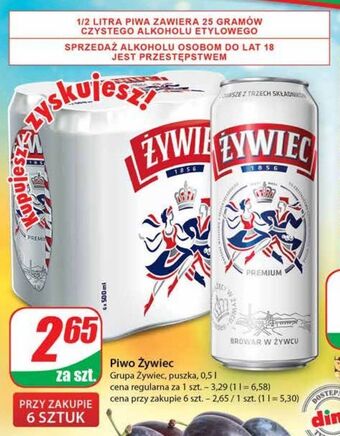 Dino Piwo żywiec jasne pełne oferta