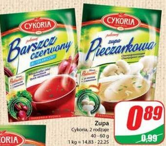 Dino Barszcz czerwony cykoria oferta