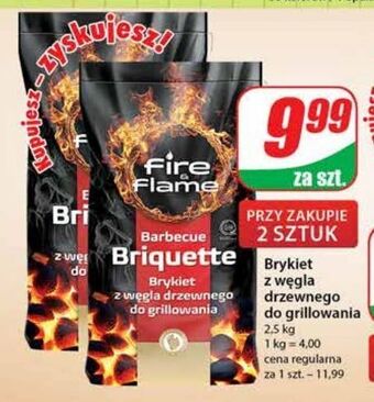 Dino Brykiet z węgla drzewnego fire & flame oferta