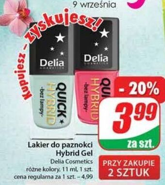Dino Lakier do paznokci delia quick hybrid oferta