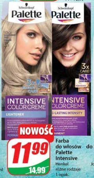 Dino Farba do włosów 4-0 palette intensive color creme oferta