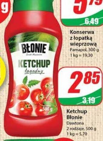 Dino Ketchup łagodny błonie oferta