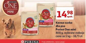 Auchan Karma dla psa adult mini wołowina i ryż purina one oferta