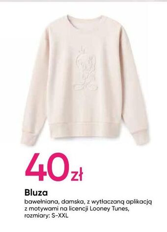 Pepco Bluza damska s-xxl oferta