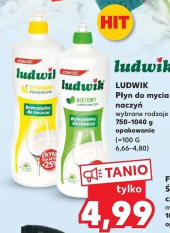 Kaufland Płyn do mycia naczyń cytrynowy ludwik oferta