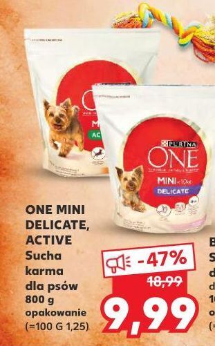 Kaufland Karma dla psa delicate mini łosoś i ryż purina one oferta