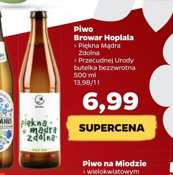 Netto Piwo browar hoplala oferta
