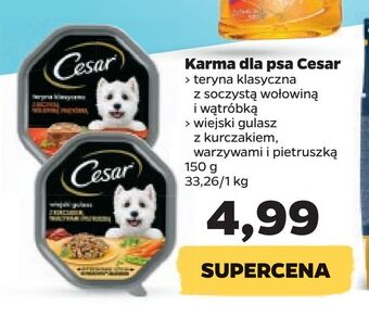 Netto Karma dla psa cesar oferta