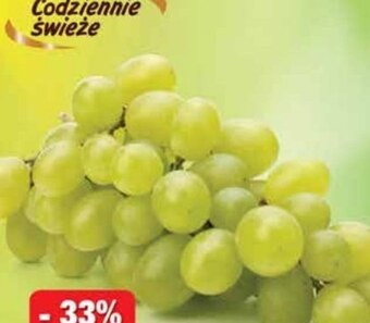 Dino Winogrona oferta