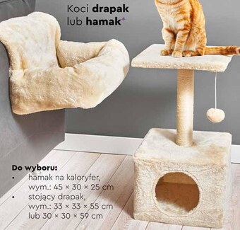 Biedronka Drapak dla kota kitty oferta