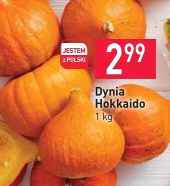 Stokrotka Market Dynia oferta