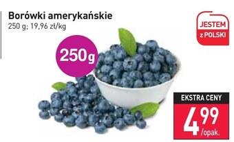 Stokrotka Borówki amerykańskie oferta