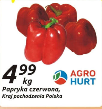 Społem Papryka oferta