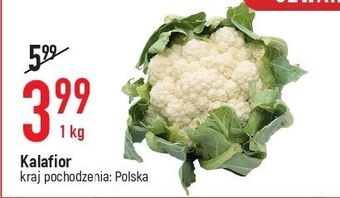 E.Leclerc Kalafior oferta