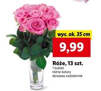 Lidl Róże 35 cm oferta