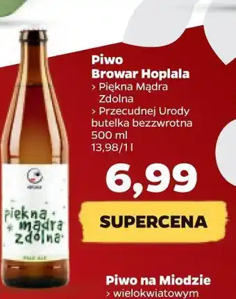 Netto Piwo browar hoplala przecudnej urody oferta