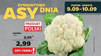 Netto Kalafior oferta