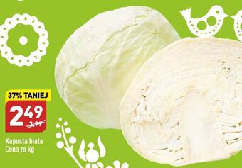 ALDI Kapusta biała oferta