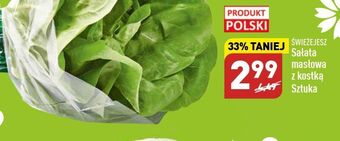 ALDI Sałata masłowa z kostką świeże jesz oferta