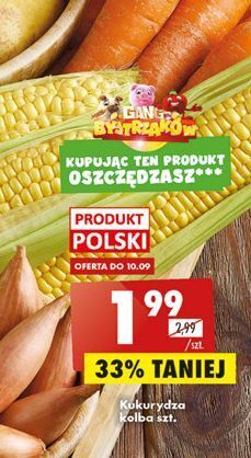 Biedronka Kukurydza oferta