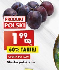 Biedronka Śliwki oferta