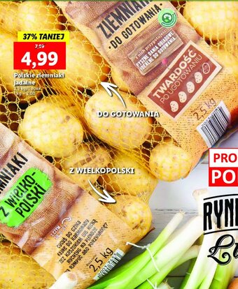 Lidl Ziemniaki z wielkopolski oferta