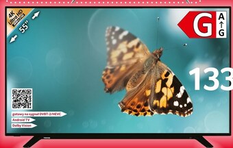 Selgros Telewizor toshiba oferta