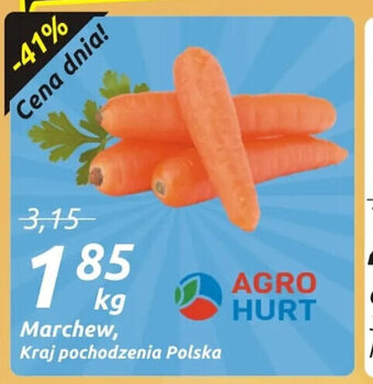 Społem Marchew 1 kg oferta