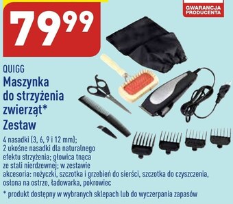 ALDI Maszynka do strzyżenia quigg oferta