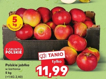 Kaufland Jabłka kaufland oferta