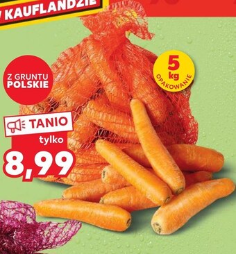 Kaufland Marchewka oferta