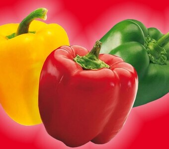 Selgros Papryka oferta