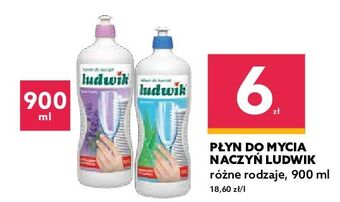Dealz Balsam do naczyń aloesowy ludwik oferta