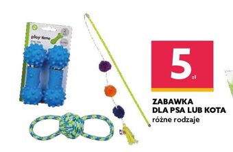 Dealz Zabawka dla psa oferta