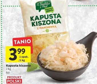Kapusta kiszona z sadów i pól