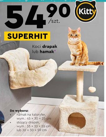 Biedronka Drapak 30 x 59 cm kitty oferta