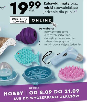 Biedronka Zabawka dla kota activ pet oferta
