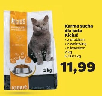 Netto Karma dla kota z łososiem kiciuś oferta