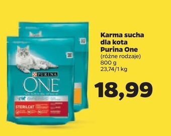 Netto Karma dla kota adult kurczak i pełne ziarna purina one oferta