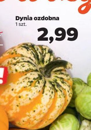 Netto Dynia ozdobna oferta