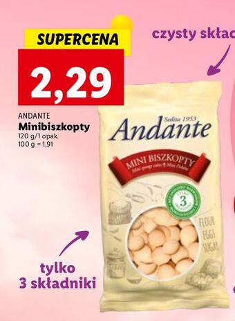 Lidl Biszkopty mini andante oferta