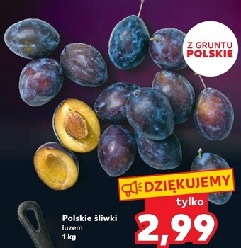 Kaufland Śliwki kaufland oferta